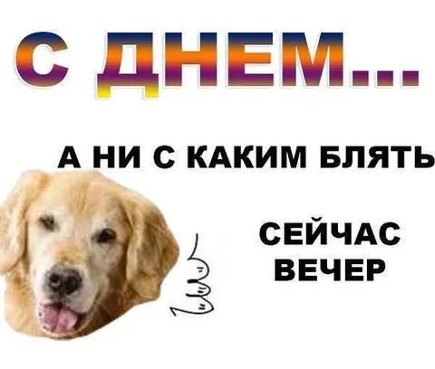 С днём... а ни с каким