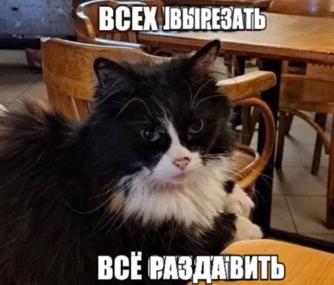 Всех вырезать, всё раздавить