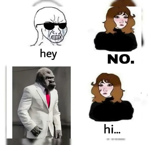 Hey No Hi Gorilla