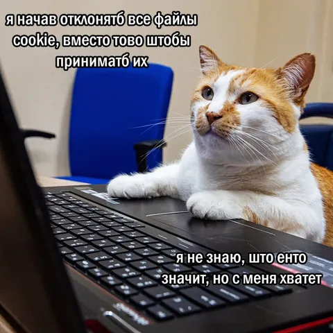 Кот отклоняет файлы cookie