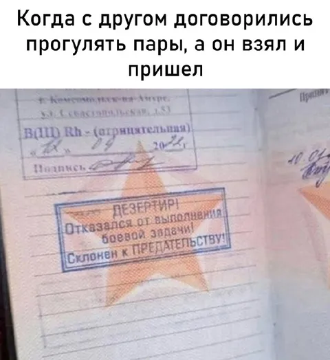 Друг пришёл на пары