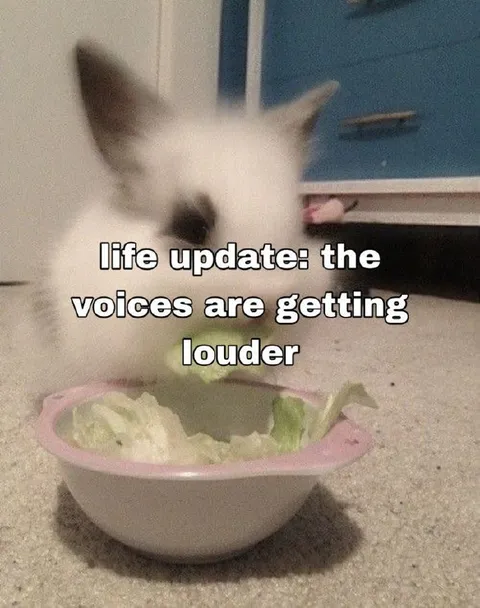 Cat Hears the Voices