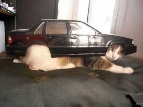 Кот, притворившийся машиной