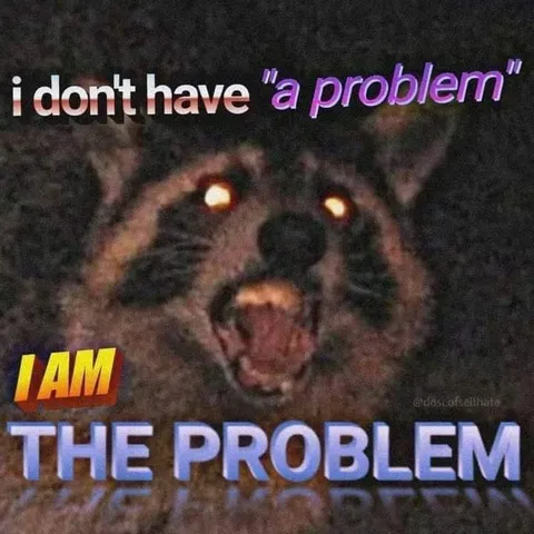 I Am the Problem