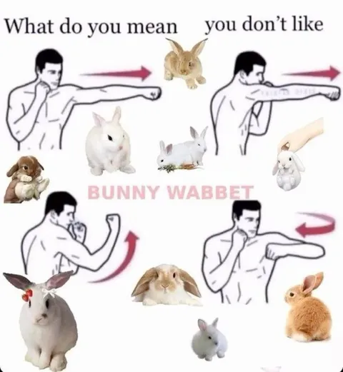 What Do You Mean You Don’t Like Bunnies