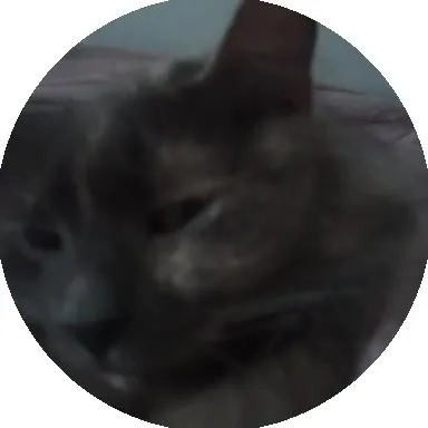 Кот неожиданно появляется в кадре