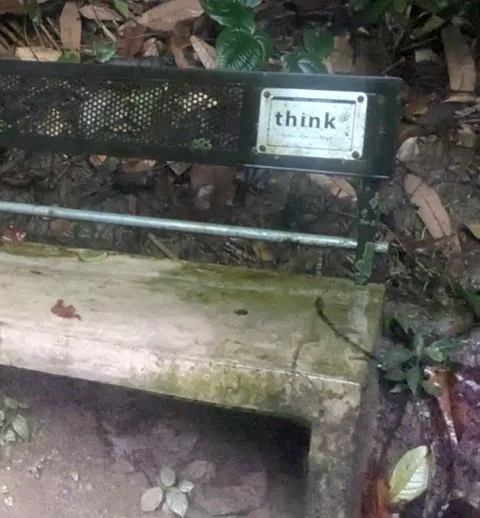 Think Sign in the Woods