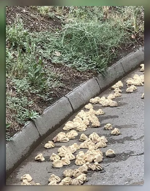 Пельмени сбежали на дорогу