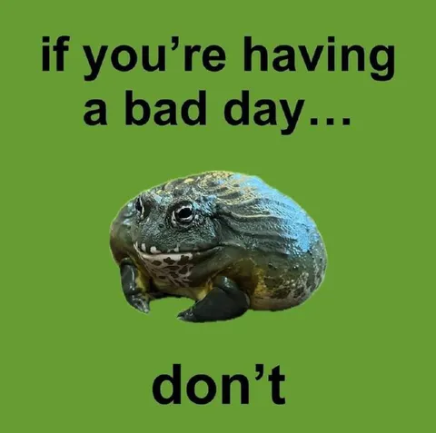 If You're Having a Bad Day