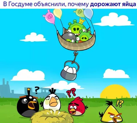 Почему дорожают яйца