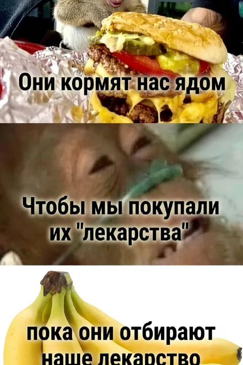 Они кормят нас ядом