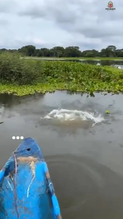 Skyfall Canoe Disaster