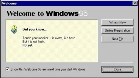 Windows 95 Flesh Monitor Tip