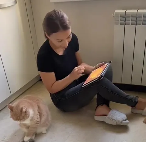 Кот стучит миской, пока хозяйка рисует
