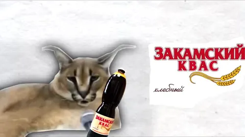 Каракал и Закамский квас