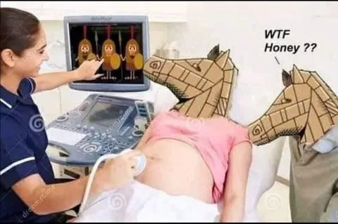 WTF Honey Horse Pregnancy