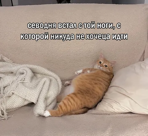 С той ноги не хочется идти