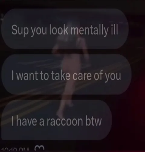 I Have a Raccoon Btw