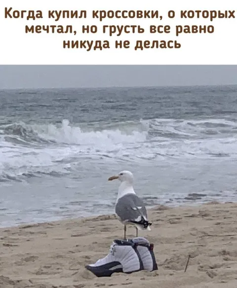 Кроссовки, которые никто не носит
