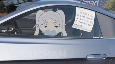 Listening to Favorite Music in the Car