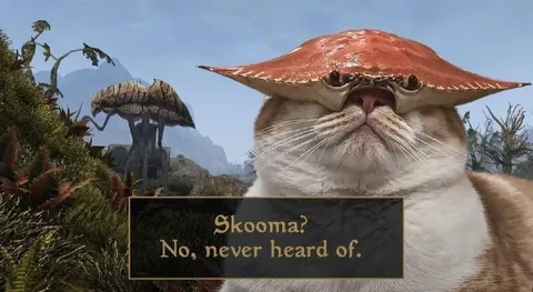 Khajiit Denies Skooma