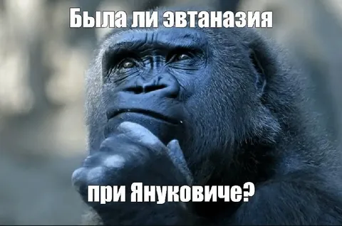 Эвтаназия при Януковиче
