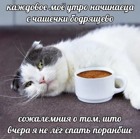 Утро с чашечкой сожаления