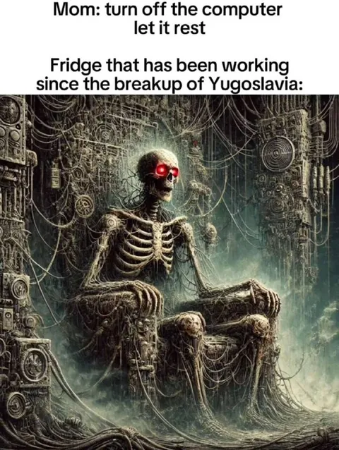 Fridge Working Since Yugoslavia
