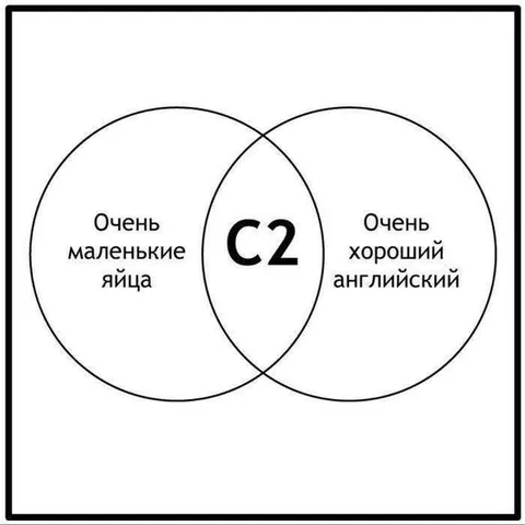 C2 и маленькие яйца