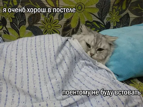 Очень хорош в постели
