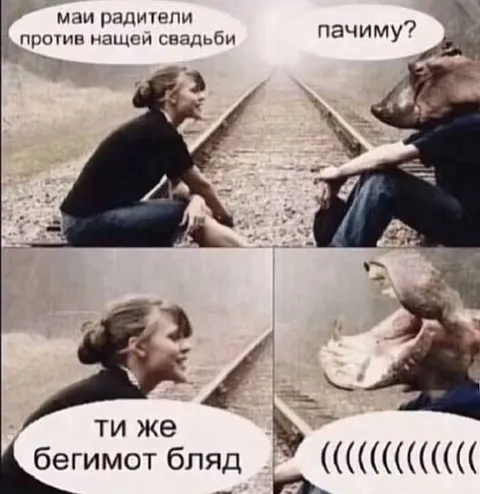 Родители против свадьбы бегемота