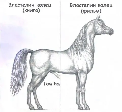 Властелин колец: книга и фильм