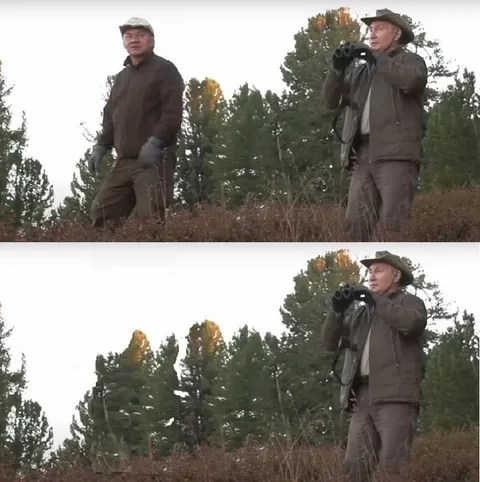 Охотник не заметил исчезновение