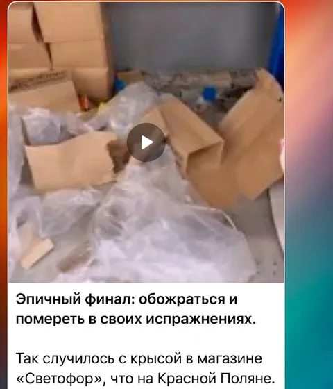 Эпичный финал крысы в магазине