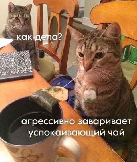 Агрессивно заваривает успокаивающий чай