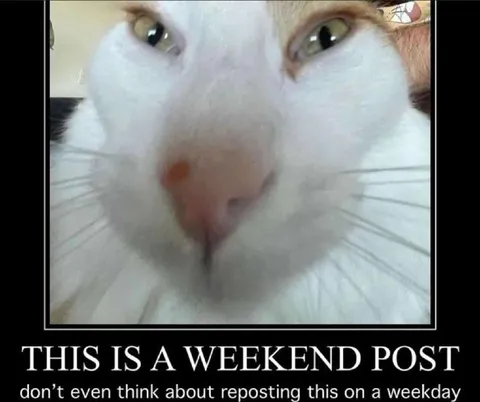 This Is a Weekend Post