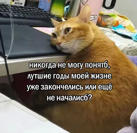 Лучшие годы ещё не начались