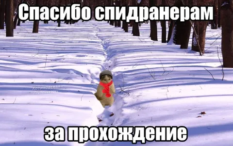 Спасибо спидранерам за прохождение
