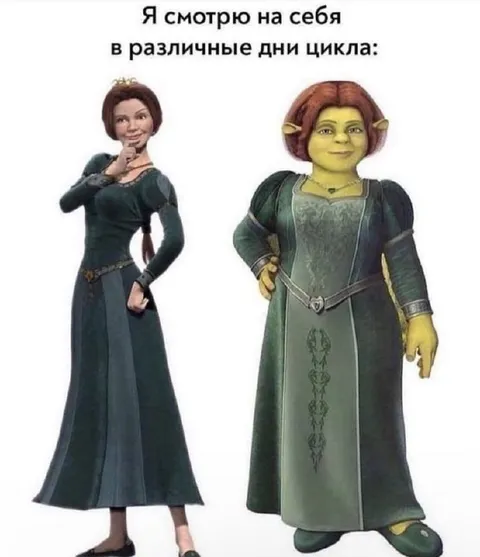 Разные дни цикла