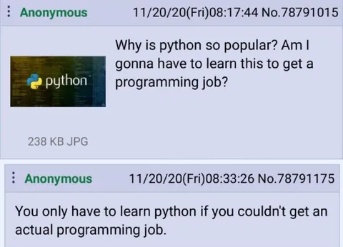 Python Programming Job Joke