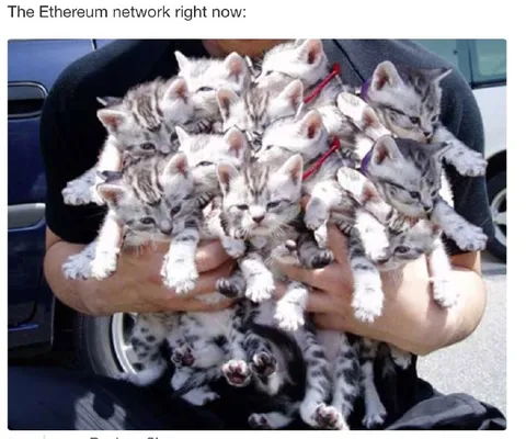 Ethereum Network Overloaded With Kittens