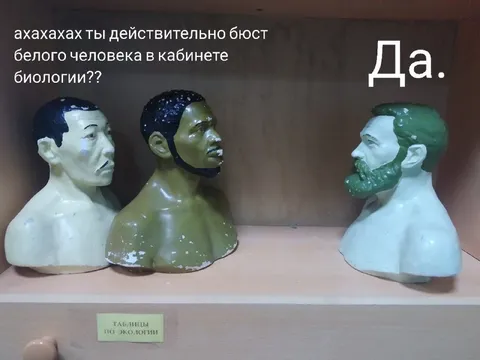 Бюсты в кабинете биологии