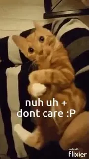 Nuh Uh, I Don't Care Cat