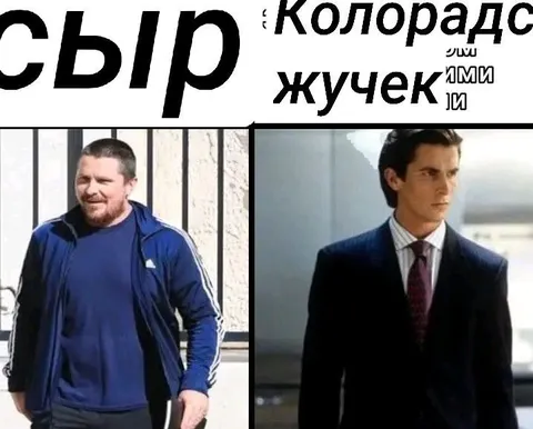 Сыр и колорадский жучек