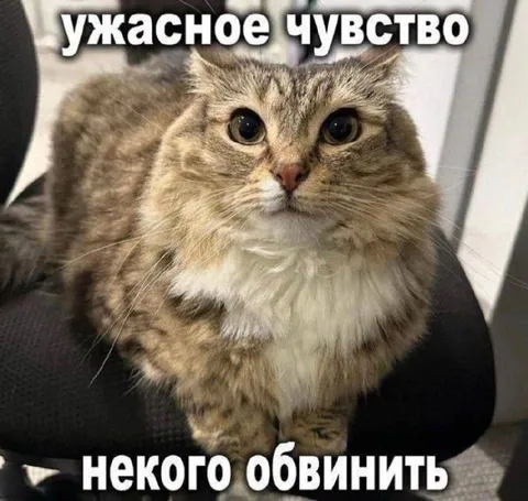 Ужасное чувство кого-то обвинить