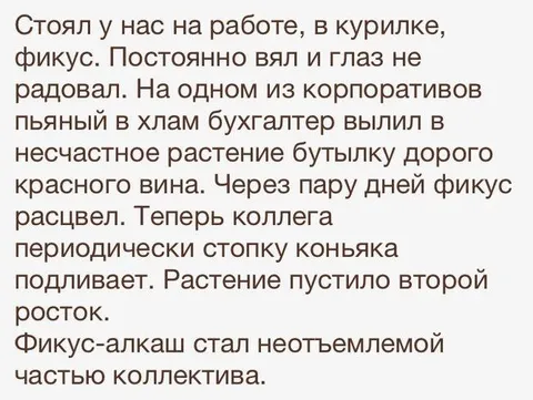 Фикус-алкаш стал частью коллектива