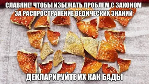 Ведические знания как БАДы