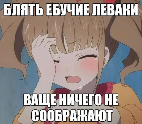 Ебучие леваки ничего не соображают