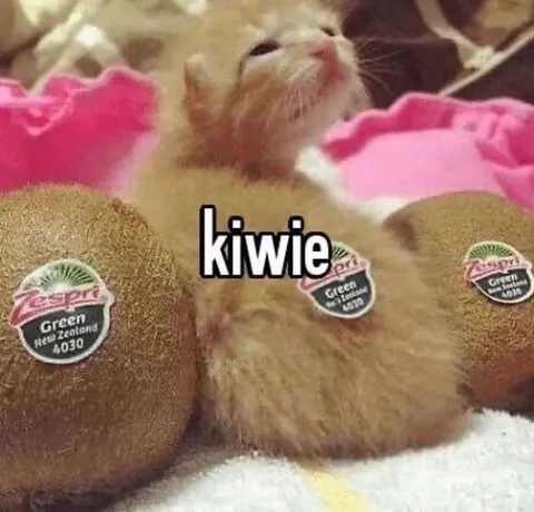 Киви среди киви