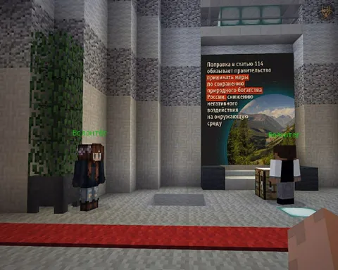 Голосование по поправкам в Minecraft